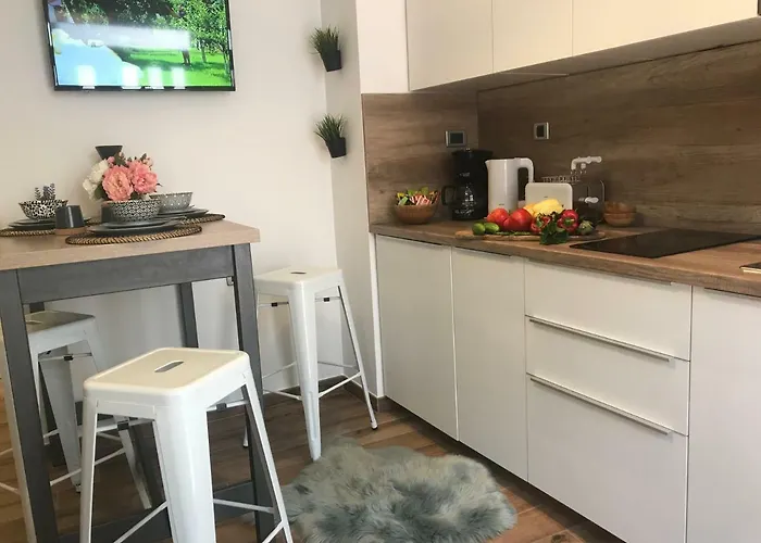 Arena Design With Free Private Parking And With A Terrace * Pula